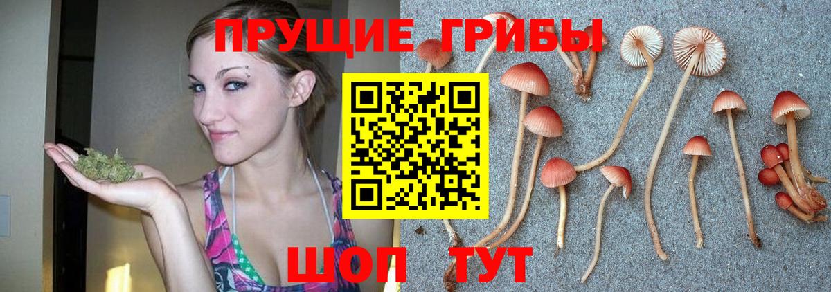 Галлюциногенные грибы мухоморы  Галлюциногенные грибы Psilocybine cubensis  Отрадное  Вход с VPN 